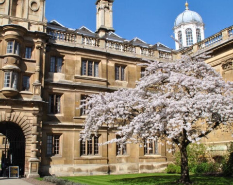 Бизнес, инновации и предпринимательство (Университет Кембриджа)